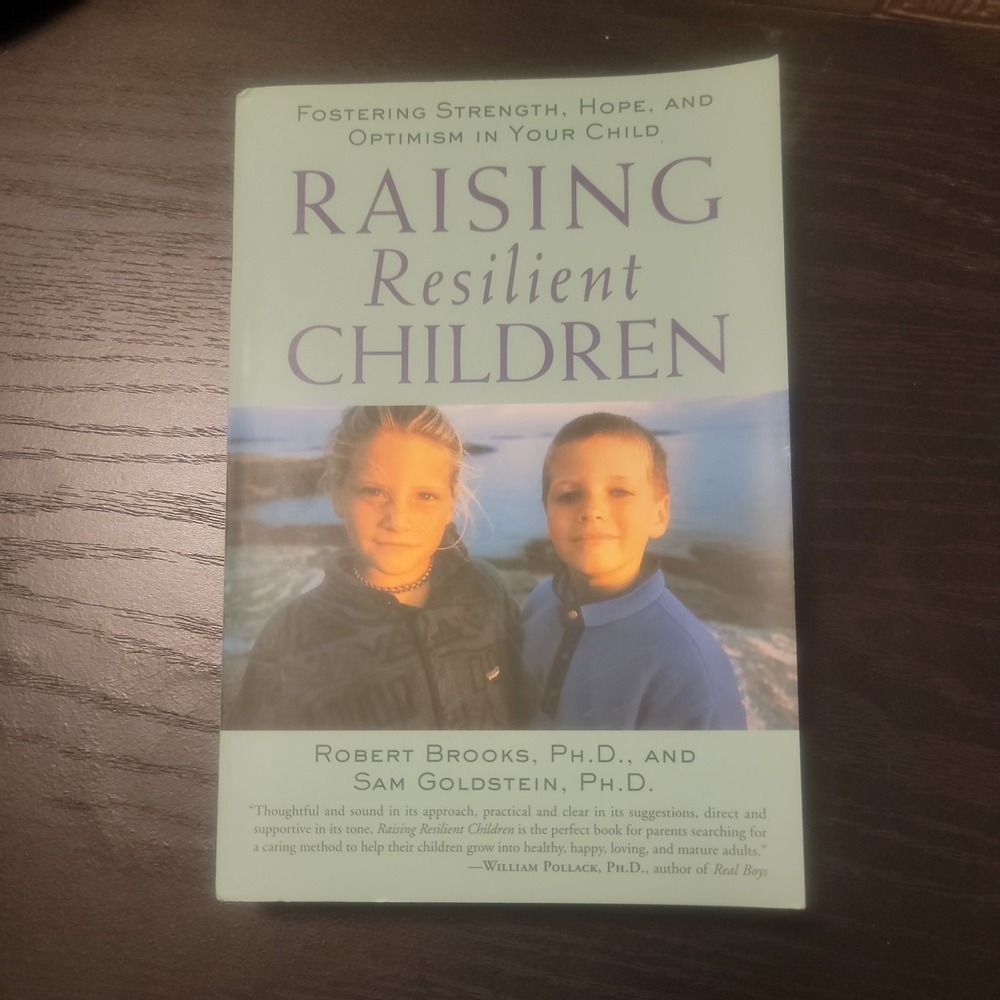 Raising Resilient Children Book Robert Brooks Sam Goldstein Parenting Paperback
